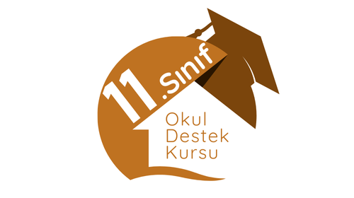 11. Sınıf