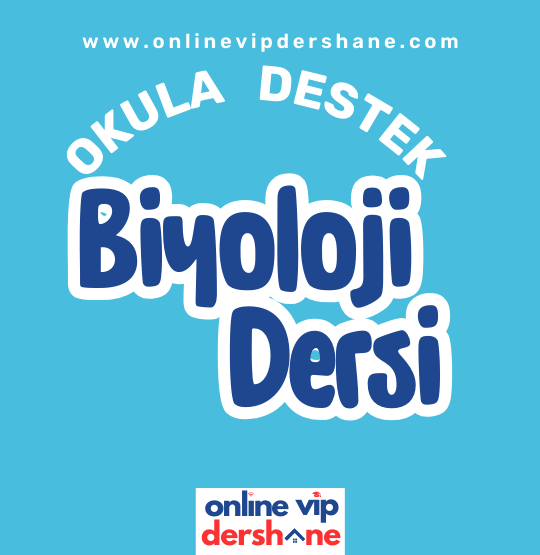 Biyoloji Dersi Okula Destek Dersi